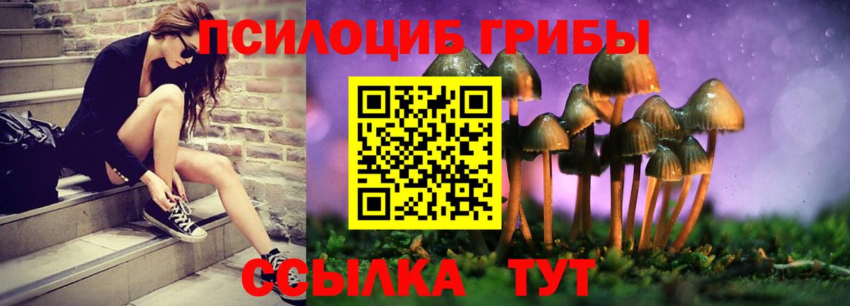 Псилоцибиновые грибы Cubensis  Вход с VPN  Сарапул 