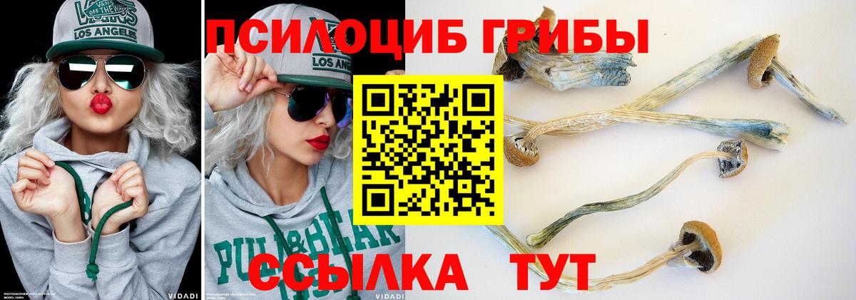 Псилоцибиновые грибы мухоморы Сарапул